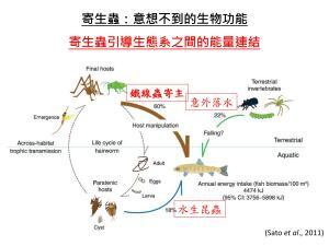 圖片5
