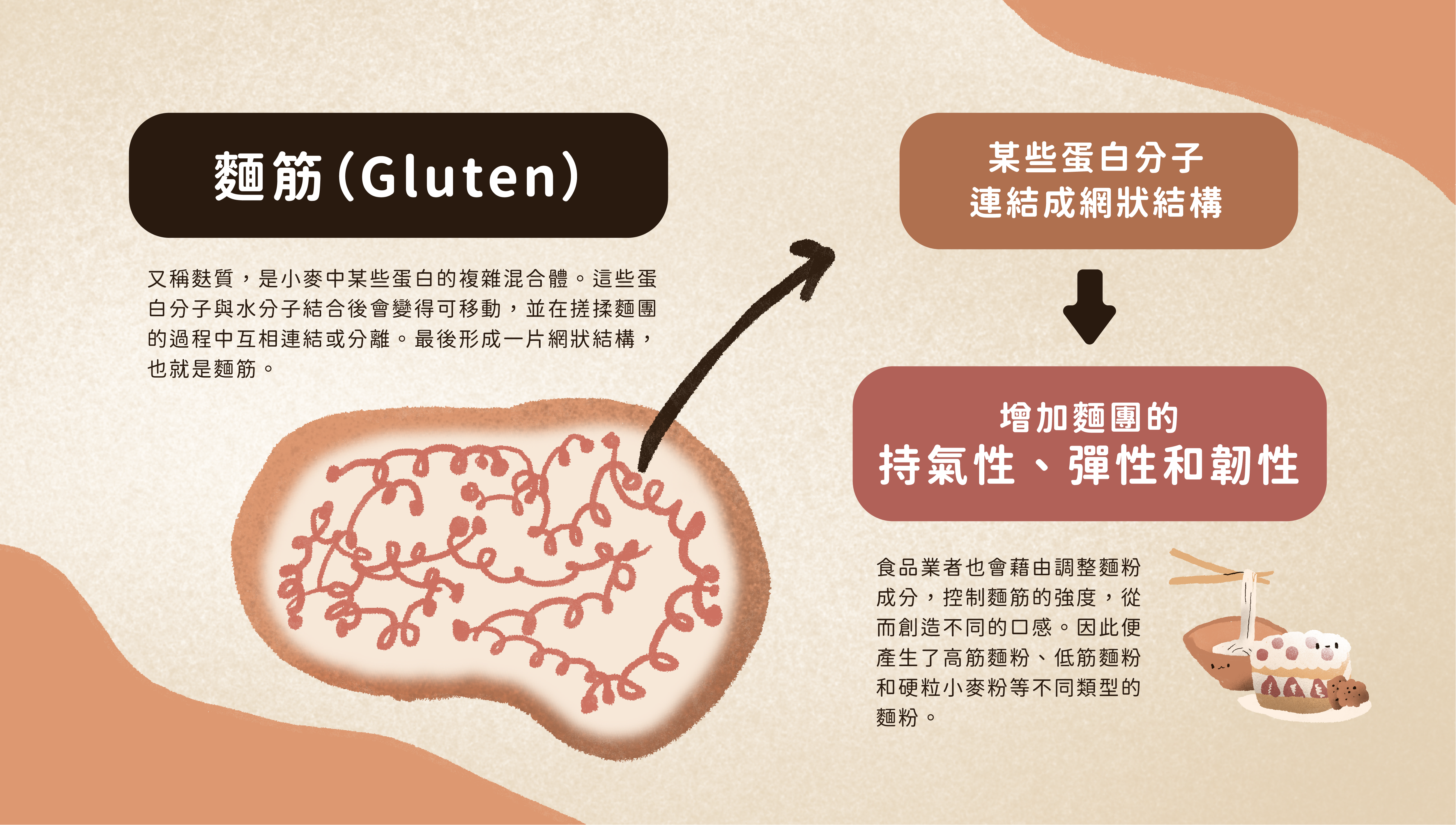 麵筋說明