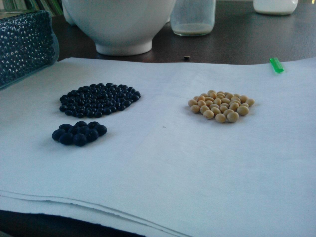 因為文杰老師的特殊體質,此時的豆漿喝了會一直脹氣,因此還要再經過加入水解酶等酵素的手續,才成為如今難能可貴的珍寶。