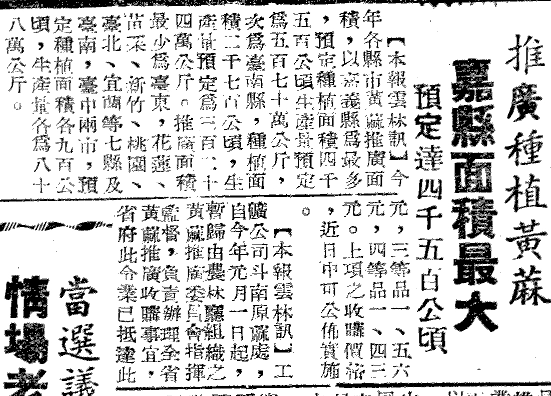 商工日報一篇嘉義種植黃麻面積最大的報導