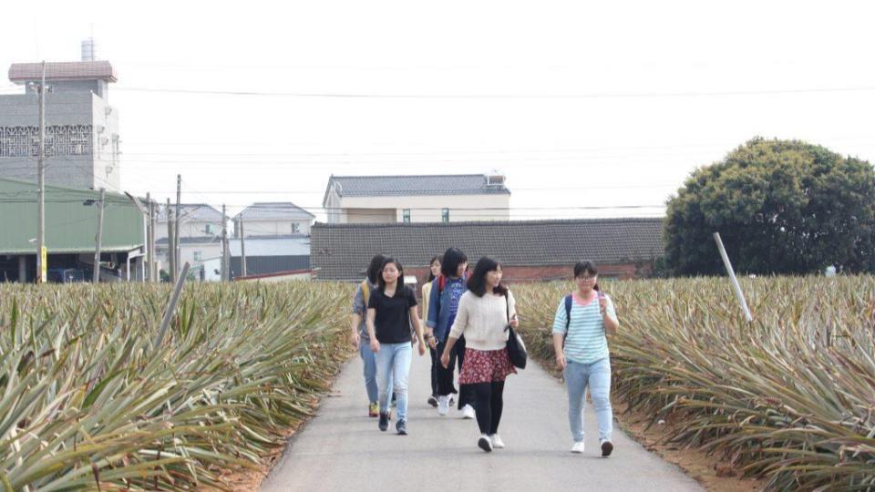 【急行軍田野筆記】村子的那條小路