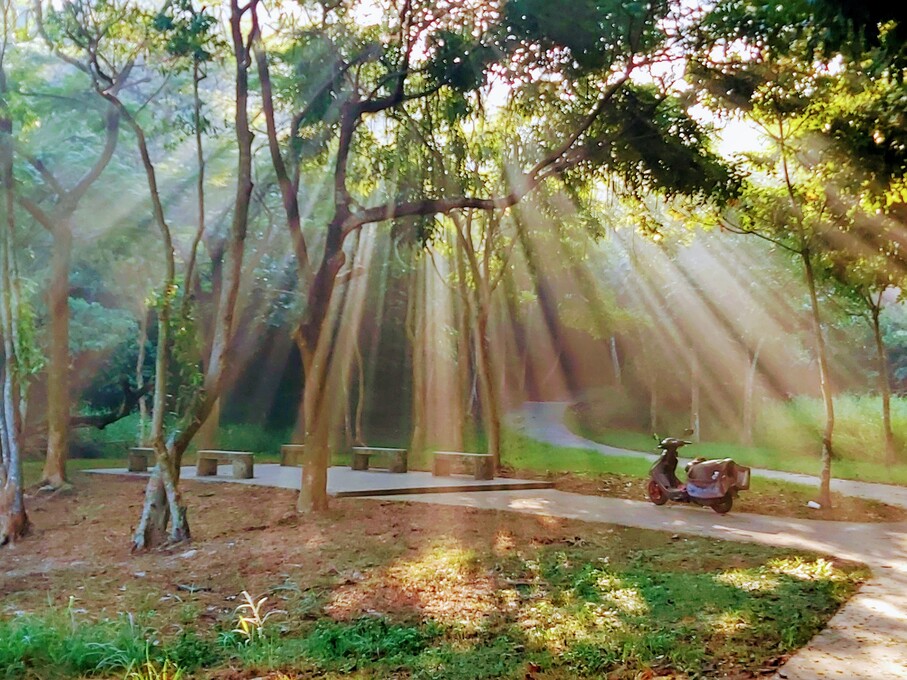 民雄森林公園之前世今生