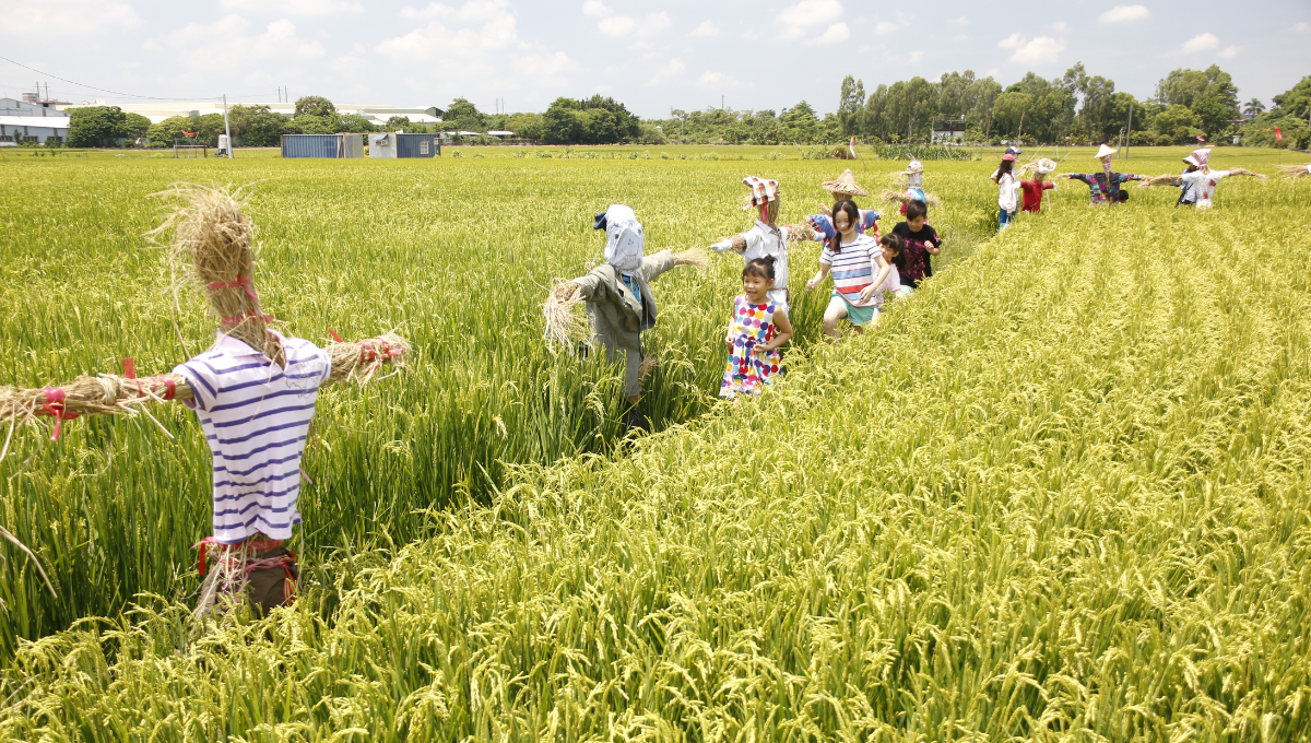 雙福社區之美化成果