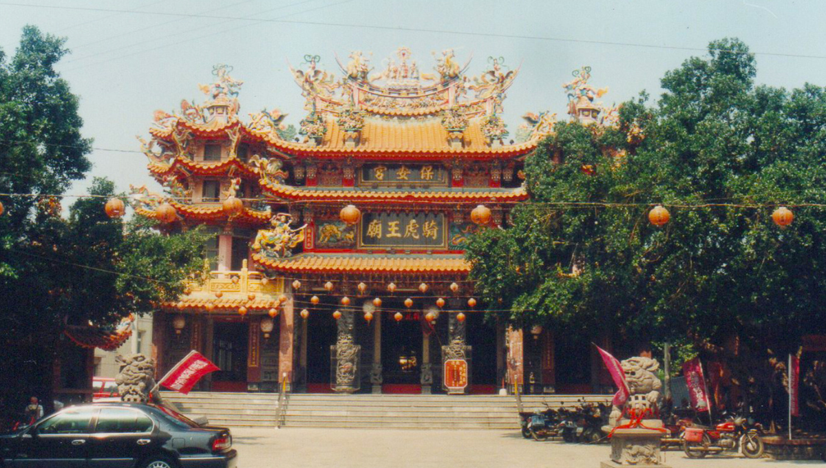 咱的老樹咱的情-騎虎王廟的老樹