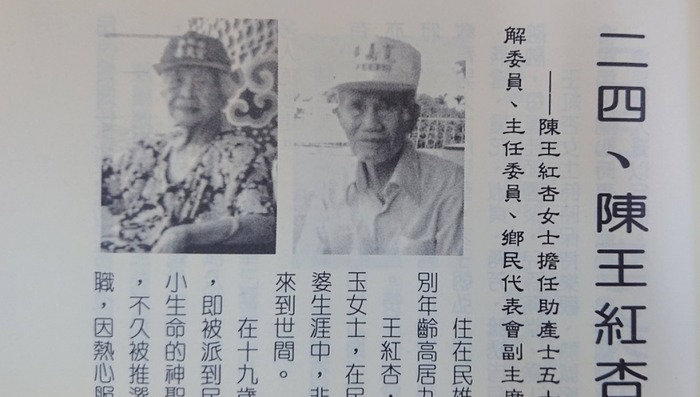 陳王紅杏